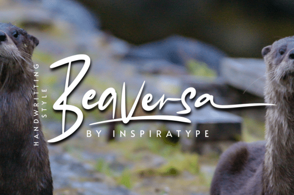 Beaversa Script Font