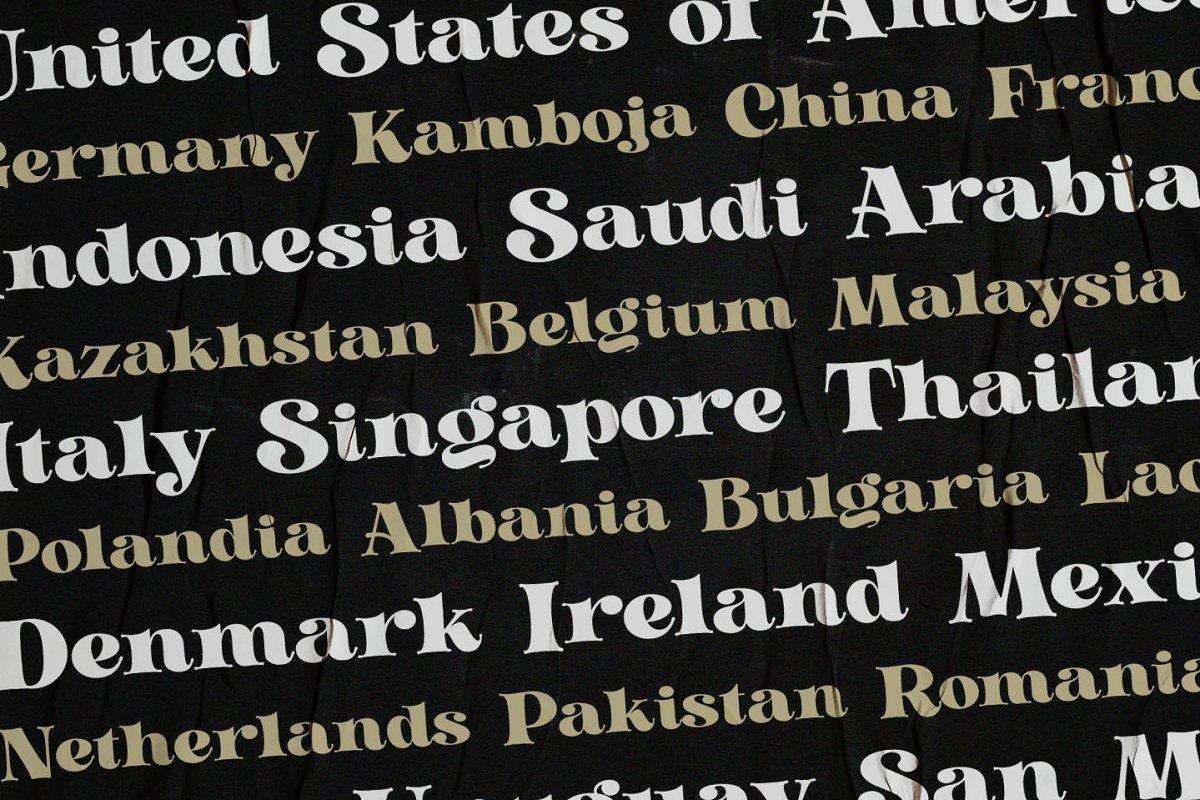 Golden Metafor Serif Font 6