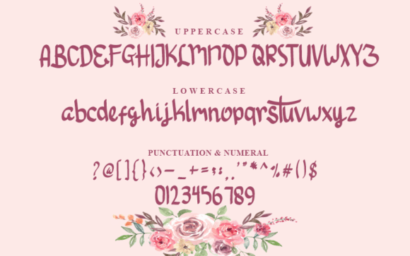 Hello Sonia Script Font 3