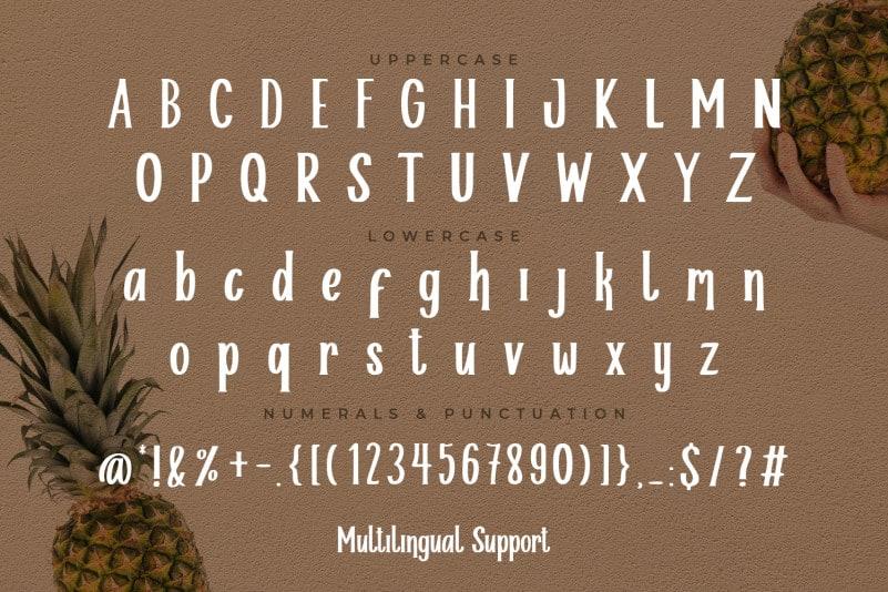 Helloria Classy Serif Font 1