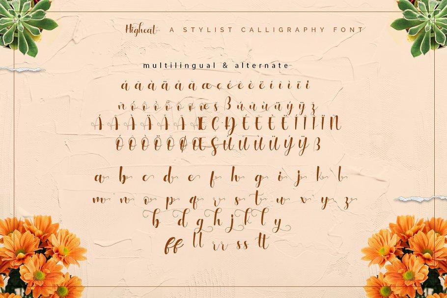 Higheat Stylish Calligraphy Font 9