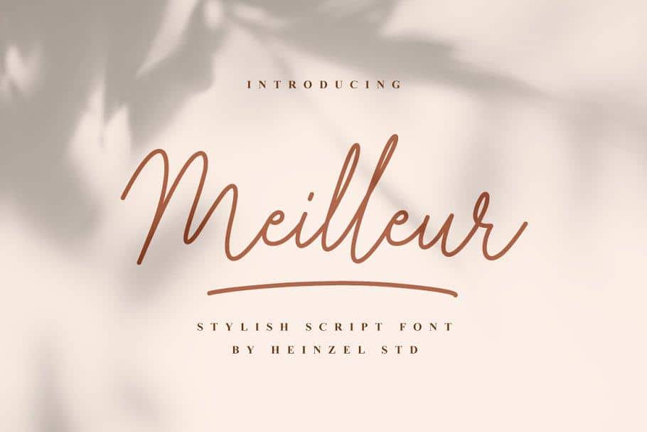 Meilleur Handwritten Script Font