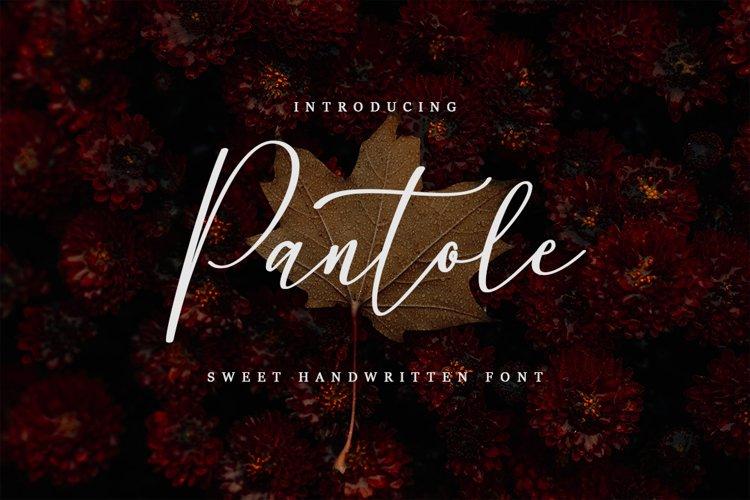 Pantole Script Font