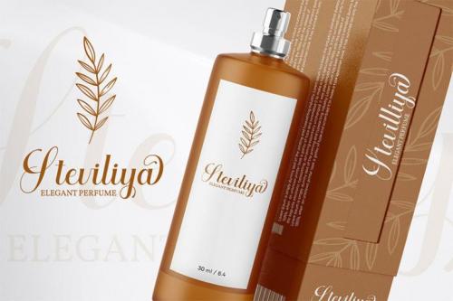 Aiytha Calligraphy Font 4