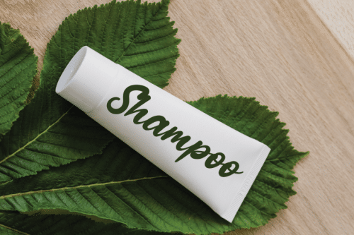 Amellgan Camellia Script Font 3