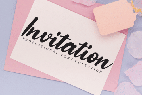 Amellgan Camellia Script Font 4