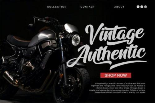 Arfelick Feather Script Font 4