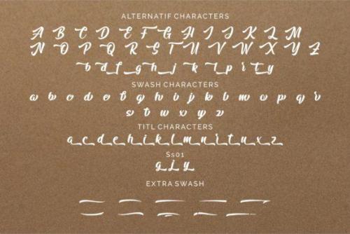 Arfelick Feather Script Font 9