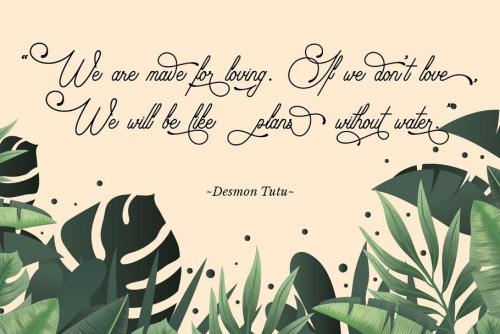 Audrena Script Font 3