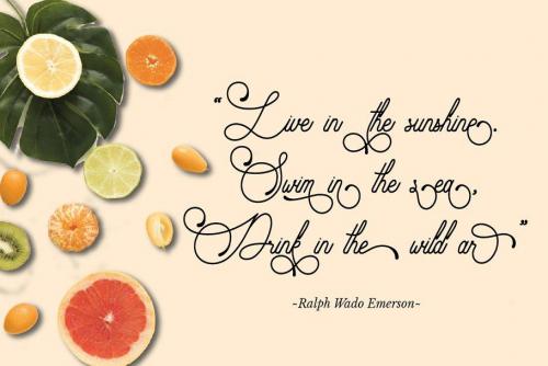 Audrena Script Font 4