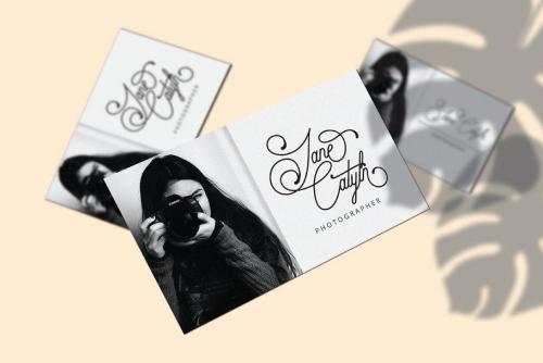 Audrena Script Font 7