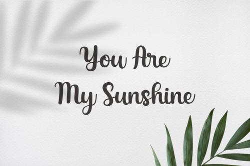 Austin Hearts Calligraphy Script Font 5