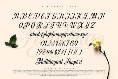 Ayalena Calligraphy Font 6