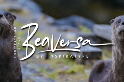 Beaversa Script Font