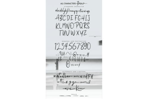 Beaversa Script Font 4