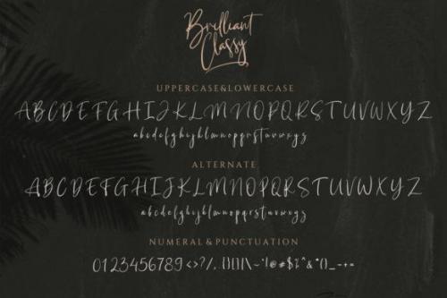 Brilliant Classy Script Font  11
