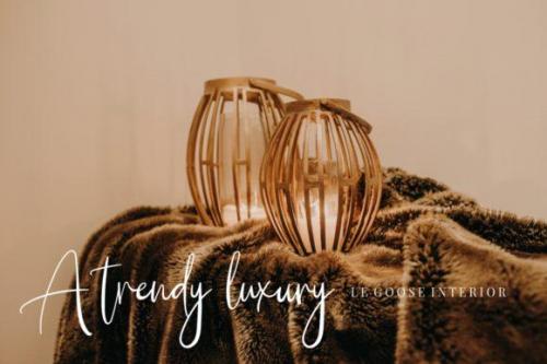 Brilliant Classy Script Font  4