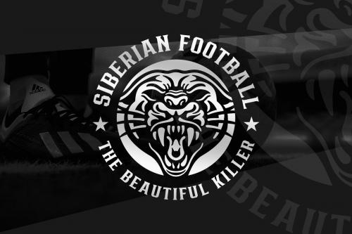 Bronzier Sporty Serif Font Family 9