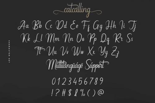 Catcalling Calligraphy Script Font 3