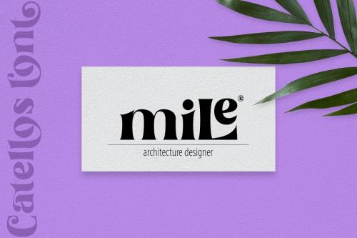 Catellos Powerful Serif Font 6