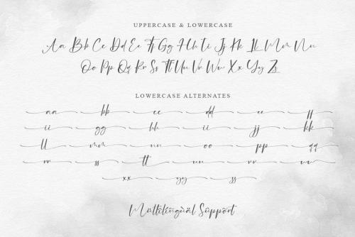 Challenge Script Font 11