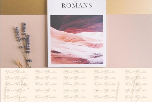 Clarinta Calligraphy Font 3