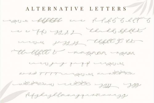 Clarinta Calligraphy Font 6