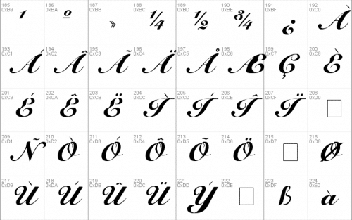 Cursive-Elegant Font 3