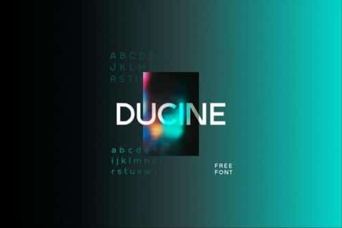 DUCINE Sans Serif Font (1)
