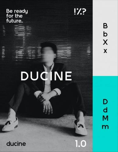 DUCINE Sans Serif Font 2