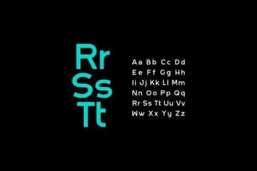 DUCINE Sans Serif Font 3 (1)