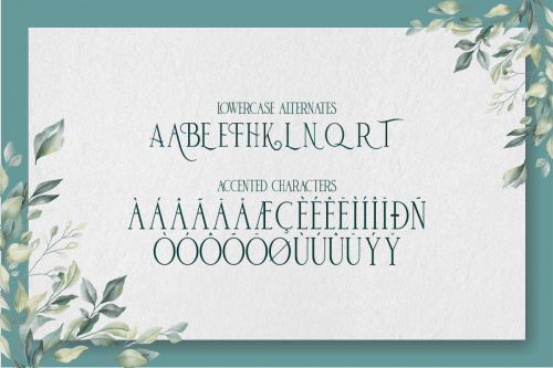 De Bambeet Serif Typeface 4