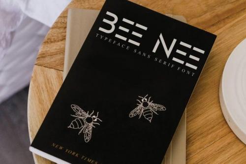 Designer Display Font 3