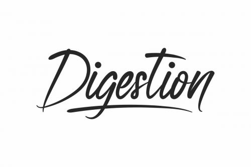 Digestion Brush Hand Lettering Font
