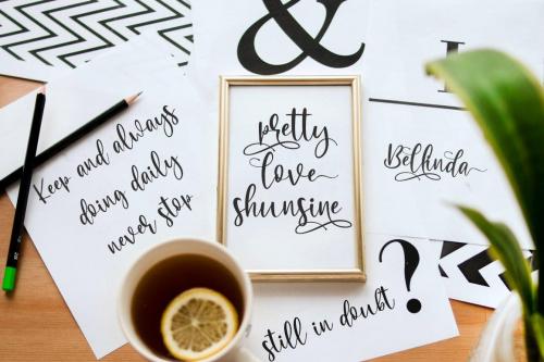 Elmore Calligraphy Font 4