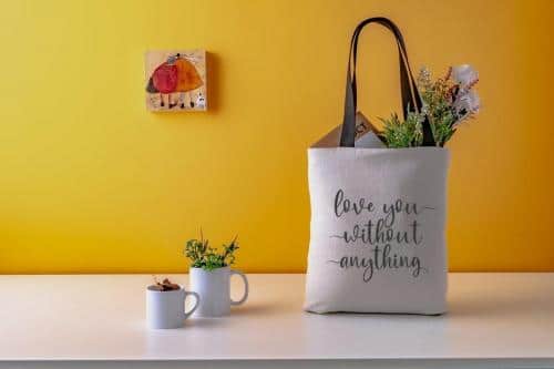 Elmore Calligraphy Font 5