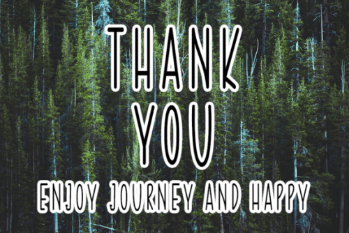 Forest Carnival Script Font 4