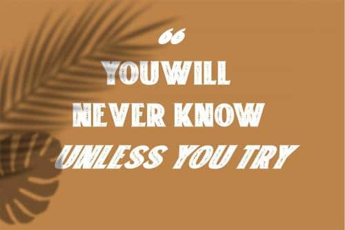 Freakland Display Font 6 (1)