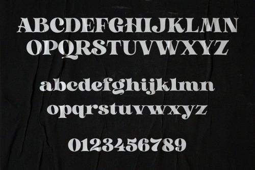 Golden Metafor Serif Font 8