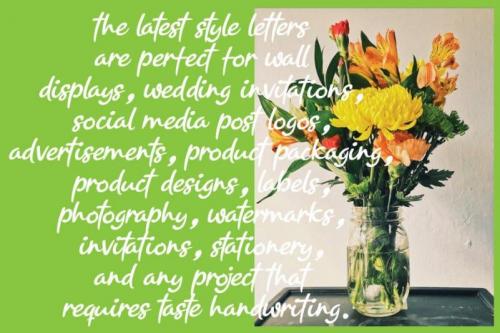 Hanmade Script Font 2