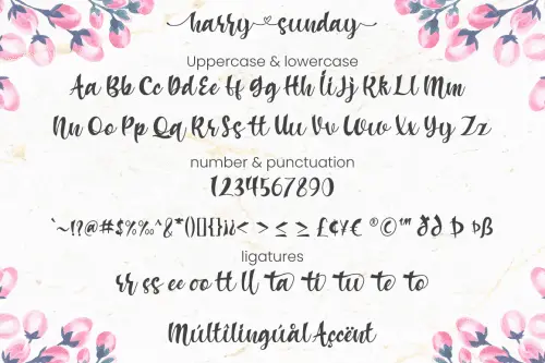Harry Sunday Calligraphy Font 6