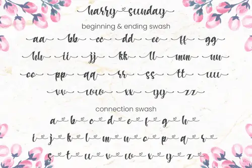 Harry Sunday Calligraphy Font 7