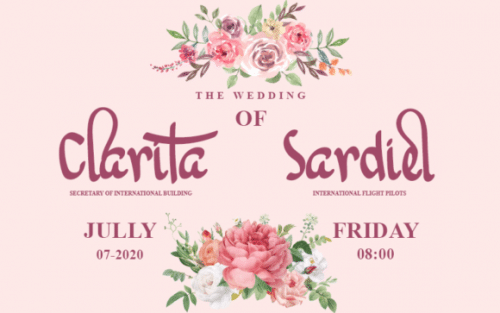 Hello Sonia Script Font 2