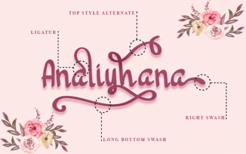 Hello Sonia Script Font 4