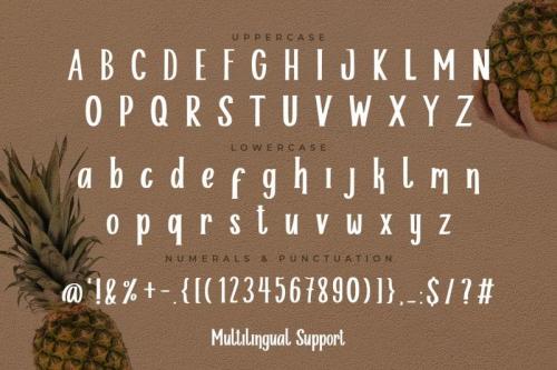 Helloria Classy Serif Font 1