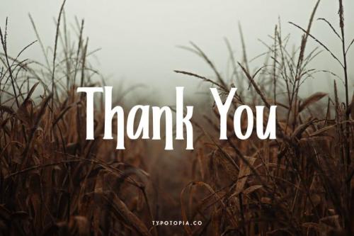 Helloria Classy Serif Font 4