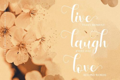 Higheat Stylish Calligraphy Font 1