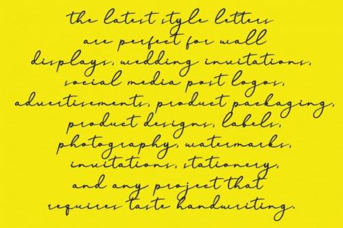 Homeline Script Font 2