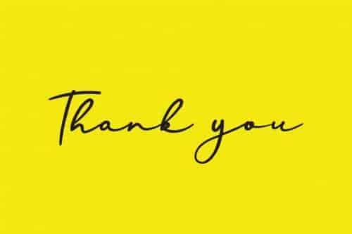 Homeline Script Font 4