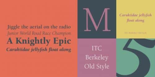 ITC Berkeley Oldstyle Std Font 10